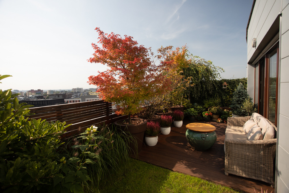 Zadaszony taras na dachu z drewnianą podłogą, roślinami w donicach, meblami ogrodowymi i widokiem na miasto w tle.