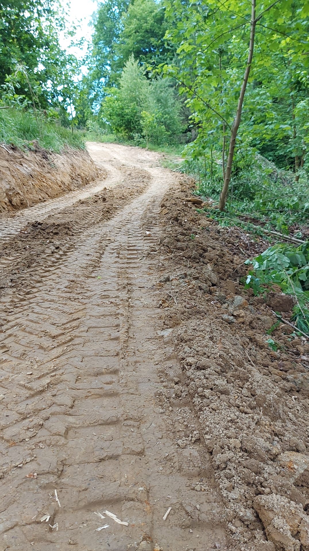Ślady opon na świeżo wyrównanym, błotnistym terenie, z widoczną roślinnością po bokach i drzewami w tle.