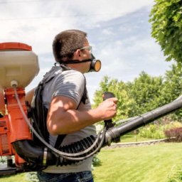 Dezynsekcja i deratyzacja Gdynia 4