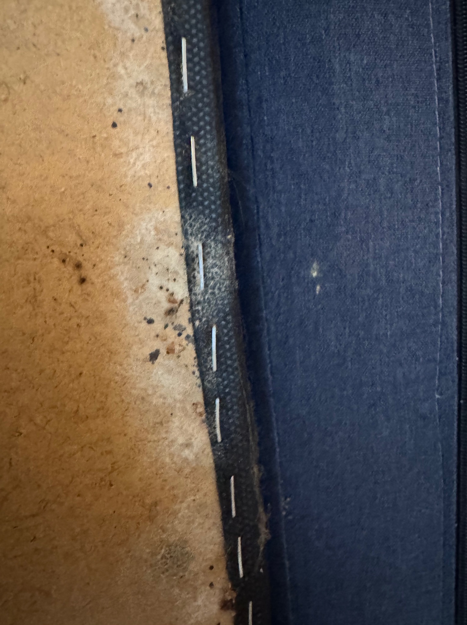 Bliski kadr na spód tapicerowanego mebla z widocznymi śladami potencjalnej aktywności szkodników, mocowany zszywkami.