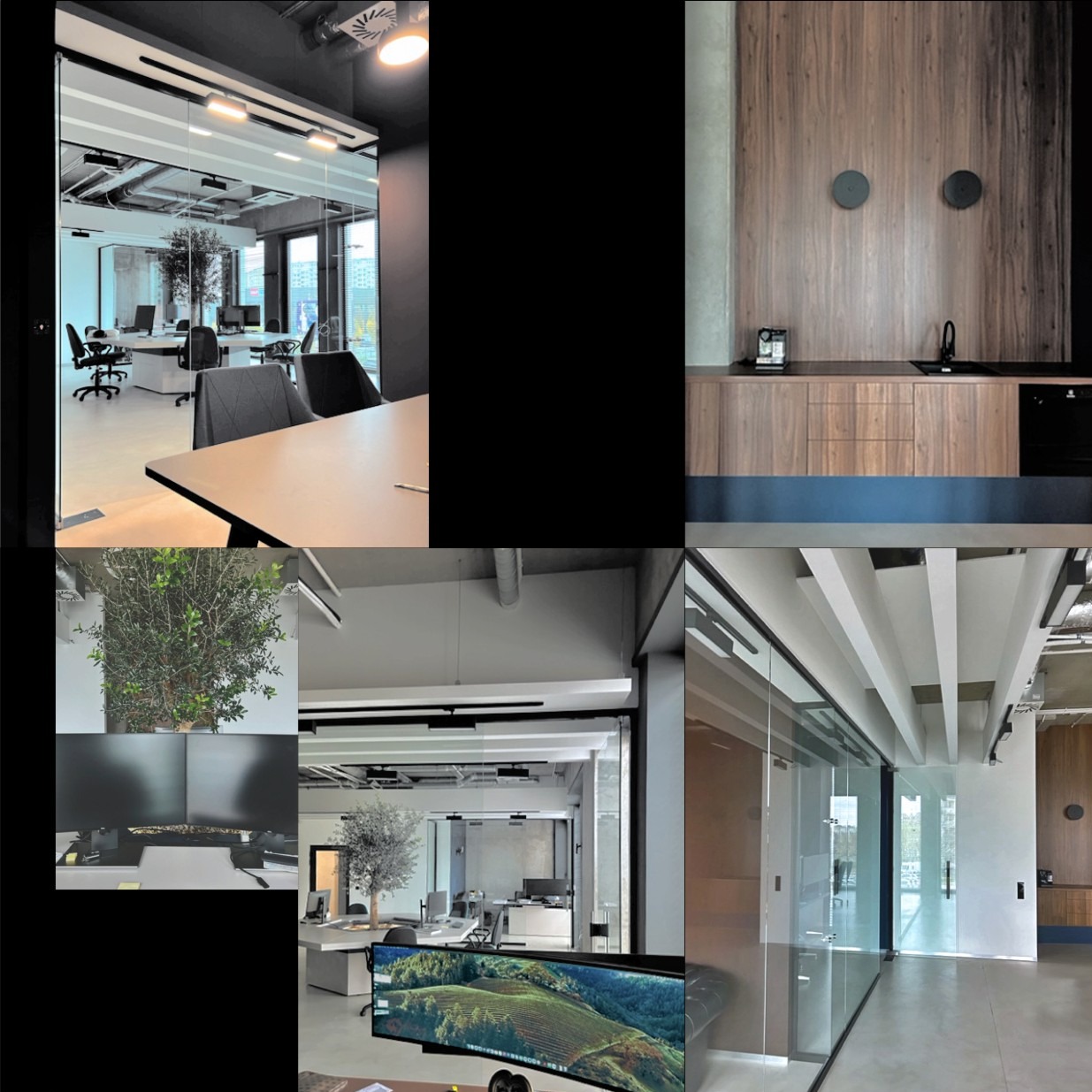 Nowoczesne biuro z przeszklonymi ścianami, minimalistycznym designem i elementami roślinnymi. Widoczne biurka, krzesła i drewniane wykończenia.