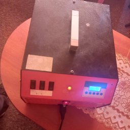 Dezynsekcja i deratyzacja Toruń 3