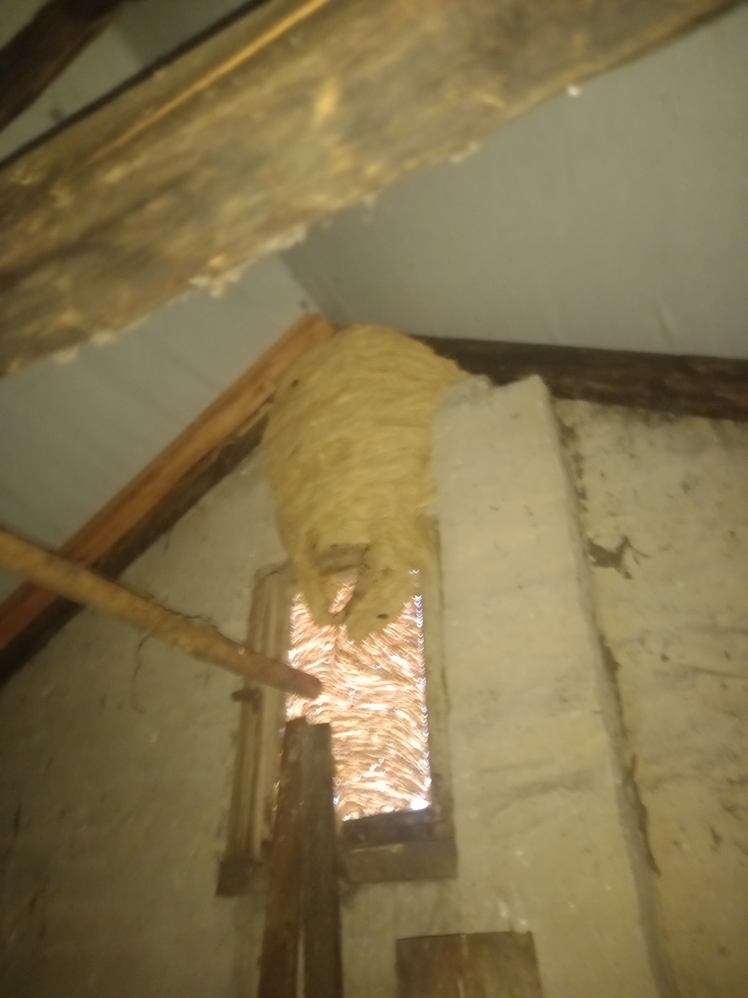 Gniazdo os zawieszone przy oknie na poddaszu, widoczne drewniane elementy konstrukcyjne dachu i fragment ściany.