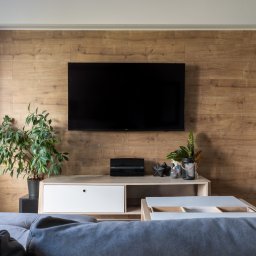 DomVisio - Telewizor zawieszony na drewnianej ścianie za jasnym, nowoczesnym stolikiem RTV z roślinami doniczkowymi i dekoracjami, widok zza szarej kanapy.