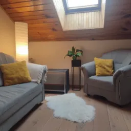 Gabinet terapeutyczny na poddaszu z drewnianym sufitem i oknem dachowym, szara sofa i fotel z żółtymi poduszkami, biały dywanik ze sztucznego futra.