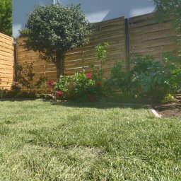 Trawa z rolki Szczecin 1