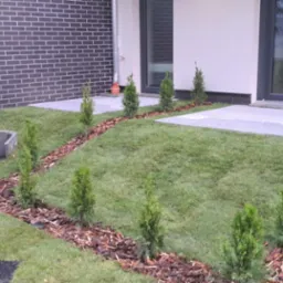 Nowo założony trawnik z młodymi tujami posadzonymi wzdłuż ścieżki z kory, prowadzącej do nowoczesnego domu z elewacją z ciemnej cegły.