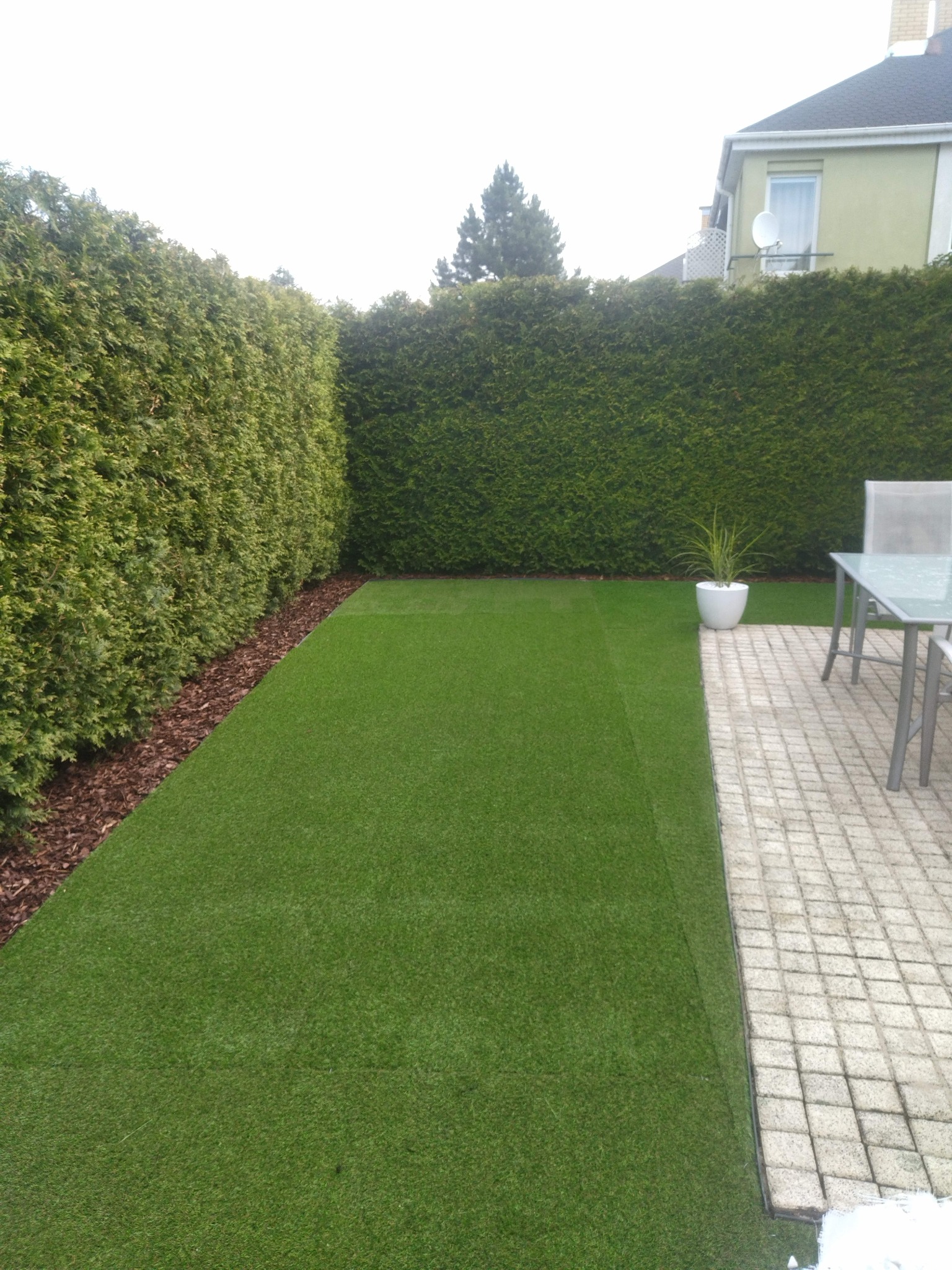 Ułożony trawnik z rolki sąsiadujący z wyłożonym kostką tarasem, obok którego stoi szklany stół z krzesłami, a w tle widać wysoki żywopłot z tui.