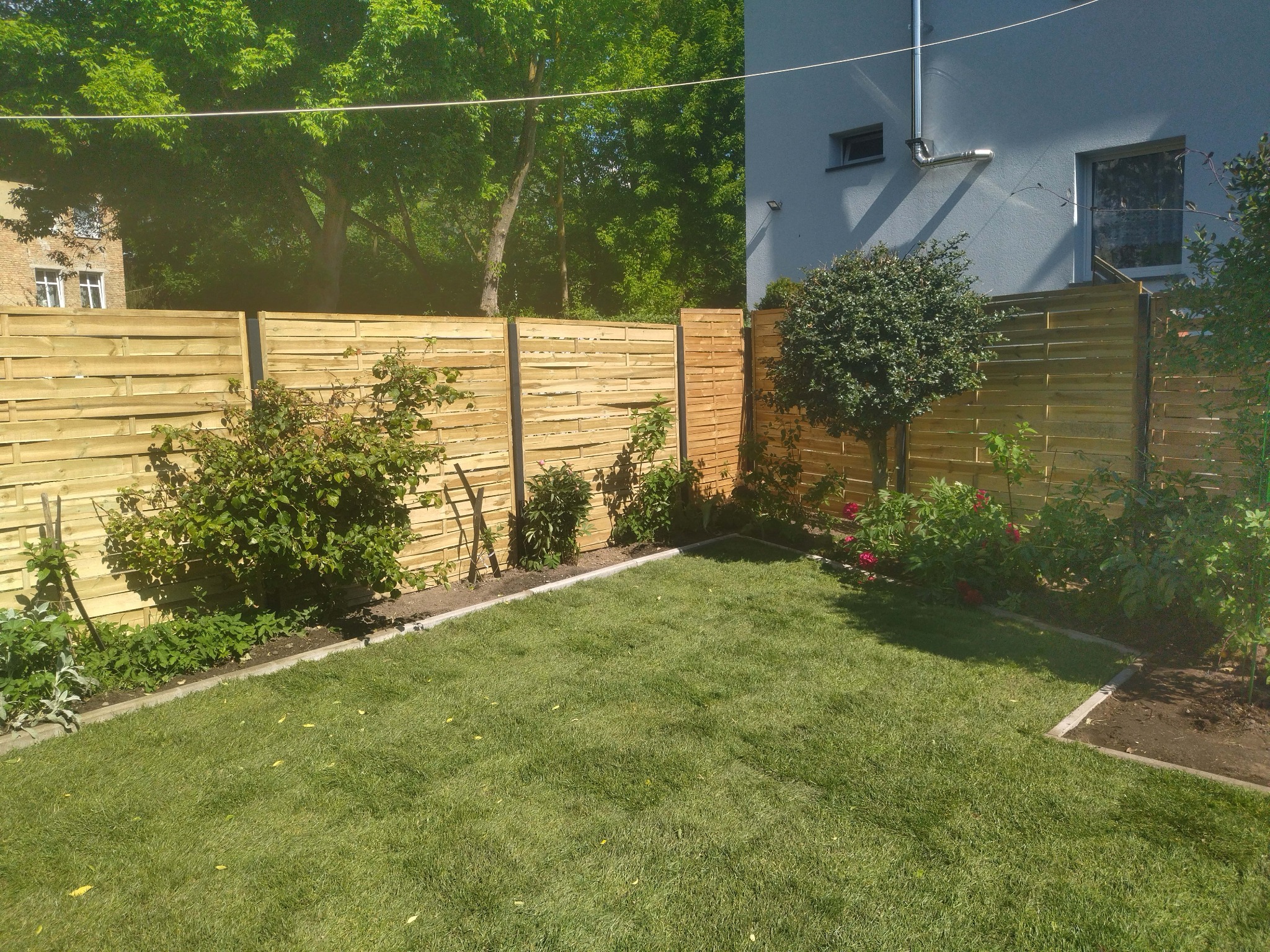 Zadbany trawnik przydomowy z nowym drewnianym ogrodzeniem panelowym, rabatami kwiatowymi i krzewami ozdobnymi wzdłuż ogrodzenia.