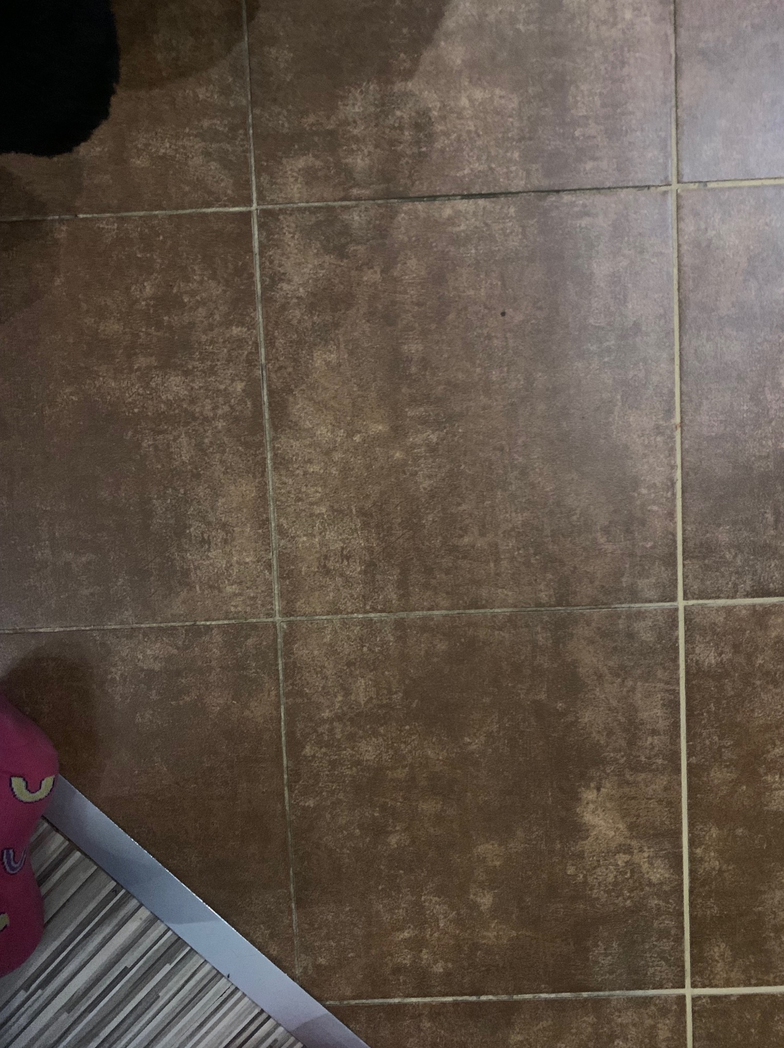 Brązowe, matowe płytki podłogowe z widocznymi fugami i fragmentem listwy przypodłogowej. W tle widoczny fragment czarnego dywanu i różowego kapcia.