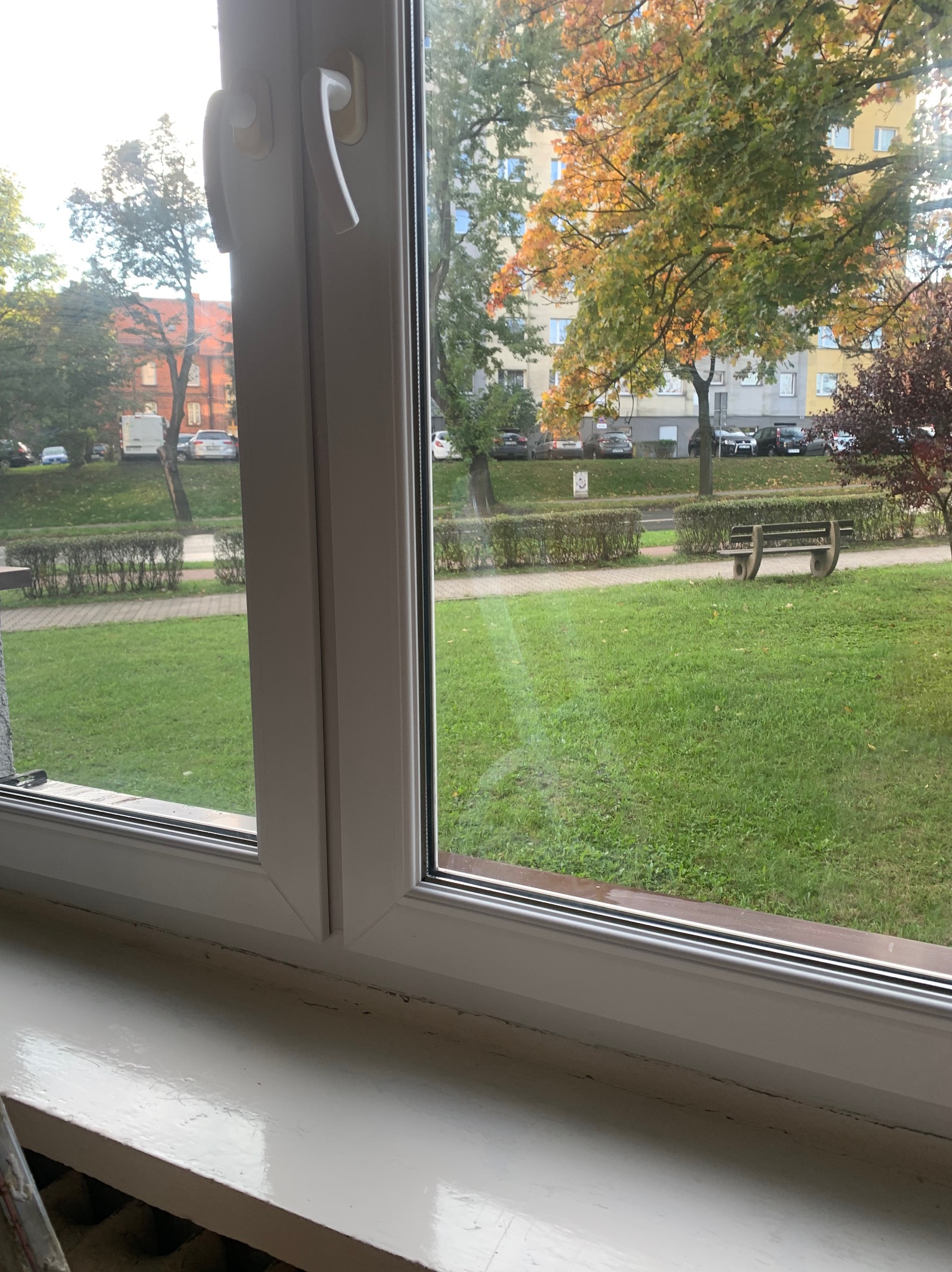 Widok z okna PCV w Rudzie Śląskiej na park z ławką i drzewami w jesiennej szacie. Szyba okna z delikatnymi smugami, parapet biały.