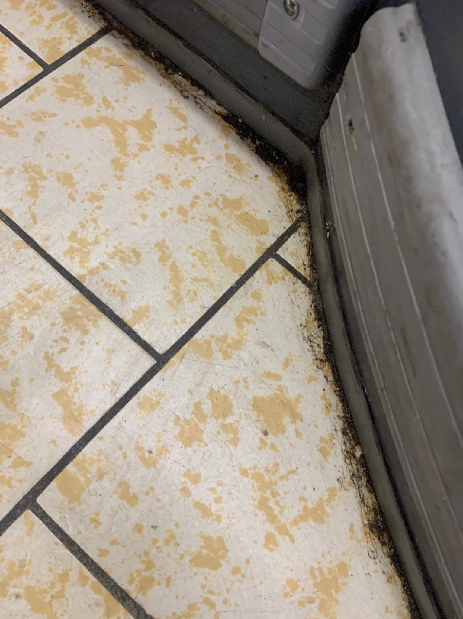 Brudna podłoga z płytek w rogu pomieszczenia, widoczne zabrudzenia przy listwach przypodłogowych i na fugach. Potrzebne gruntowne czyszczenie.