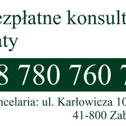 Upadłość konsumencka Zabrze 1