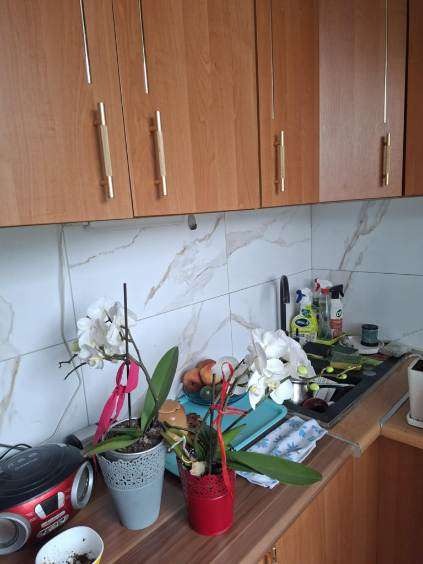 Uporządkowany blat kuchenny z kwiatami w doniczkach, po czyszczeniu. Widoczne szafki z drewnianymi frontami i marmurowe płytki na ścianie. Świeżość i porządek.