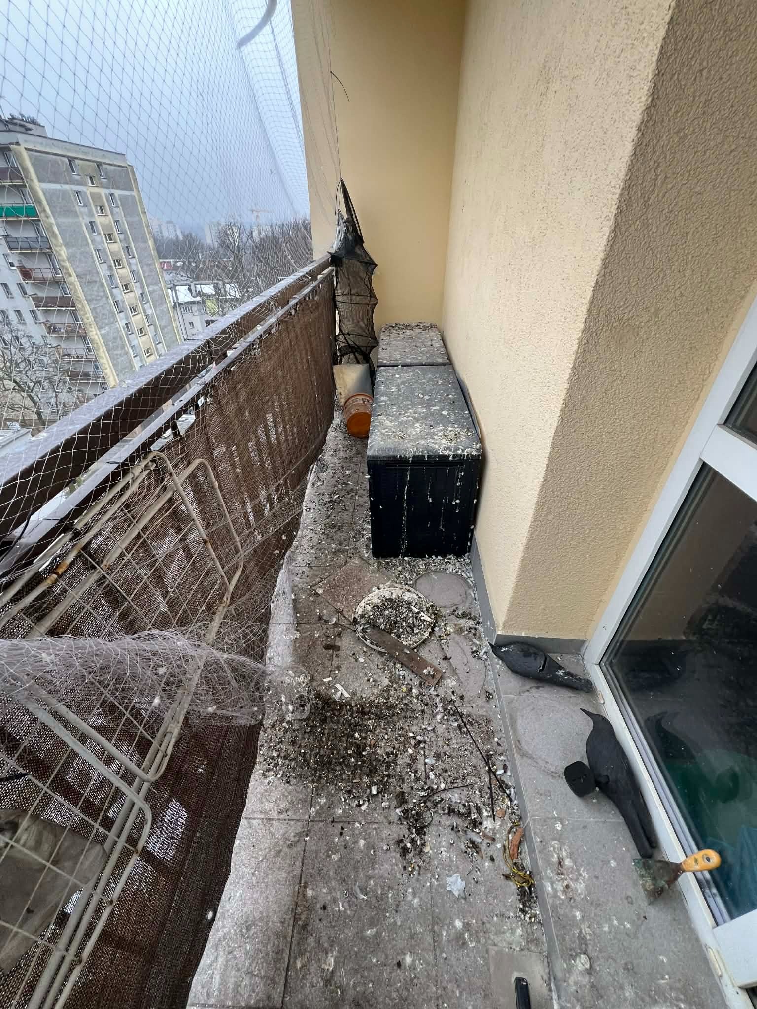 Zanieczyszczony ptasimi odchodami balkon z siatką ochronną. Widoczne resztki jedzenia, pióra i narzędzie do usuwania zabrudzeń. W tle zabudowa miejska.