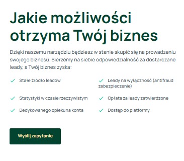 Tekst informacyjny o możliwościach dla biznesu: stałe źródło leadów, statystyki w czasie rzeczywistym, dedykowany opiekun konta, leady na wyłączność i dostęp do platformy.