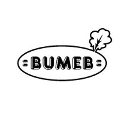 BUMEB RAFAŁ GUSTOŁEK - Stolarstwo Szczecin