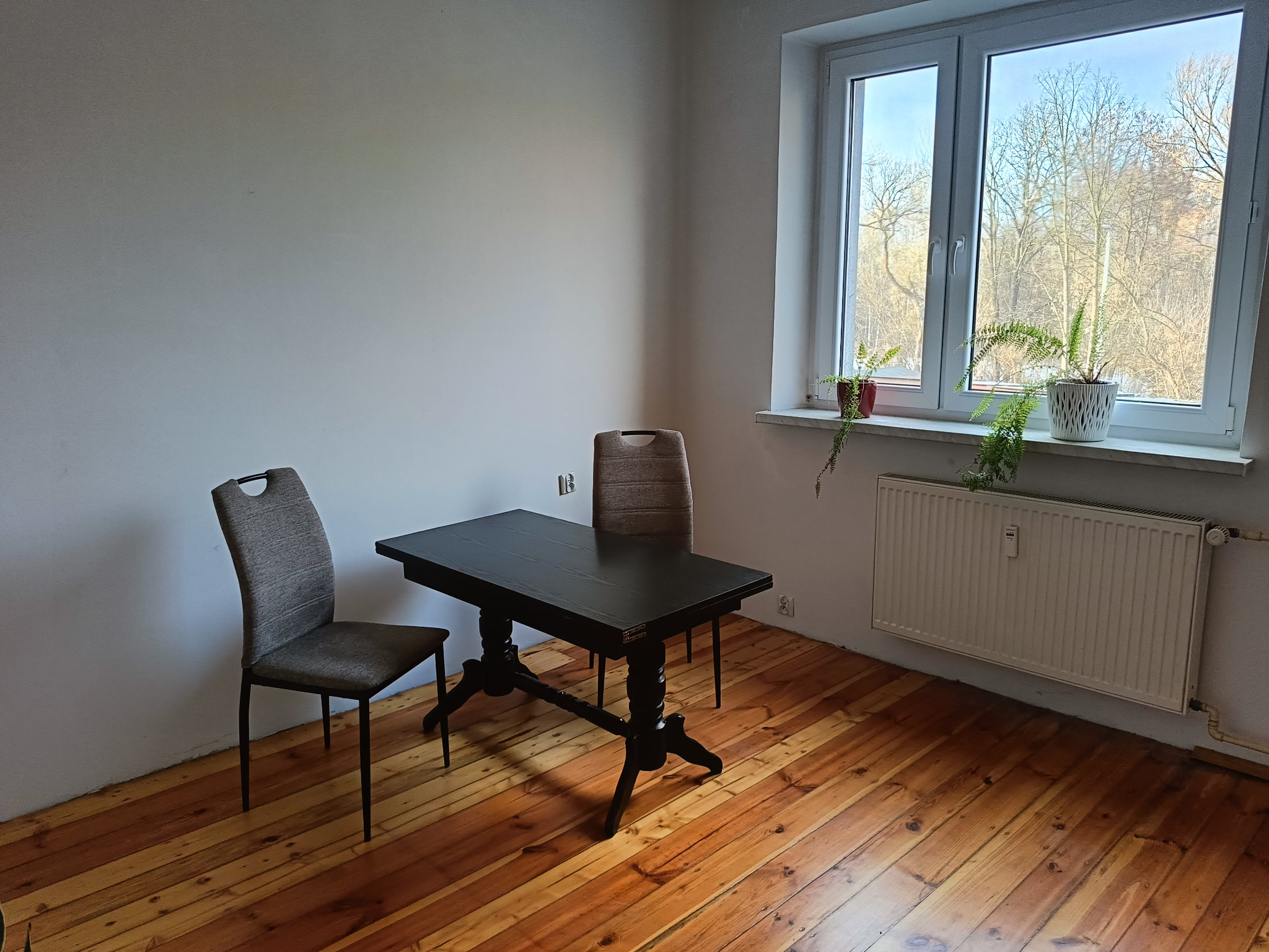 Pusta jadalnia z ciemnym drewnianym stołem i dwoma krzesłami, parkiet z desek, okno z widokiem na drzewa bez liści, rośliny doniczkowe na parapecie.