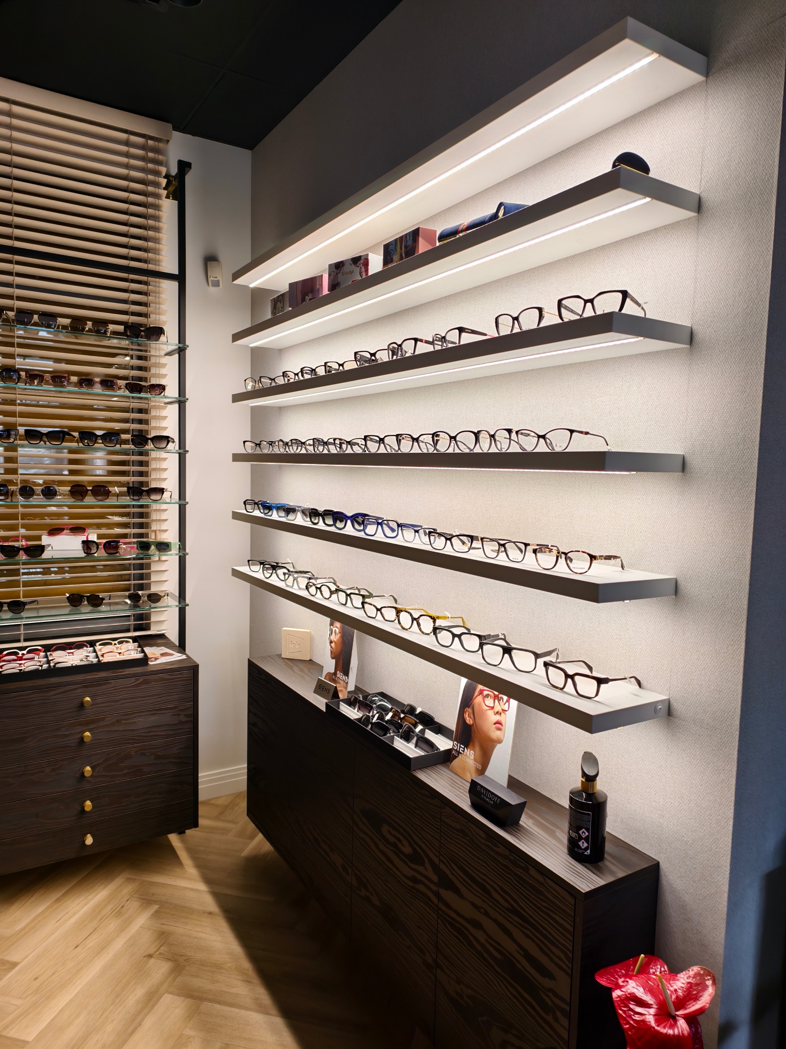 Salon optyczny: półki z oświetleniem LED prezentują różnorodne oprawki okularów korekcyjnych i przeciwsłonecznych, obok drewniana komoda z ekspozycją i ulotką reklamową marki SIENS.