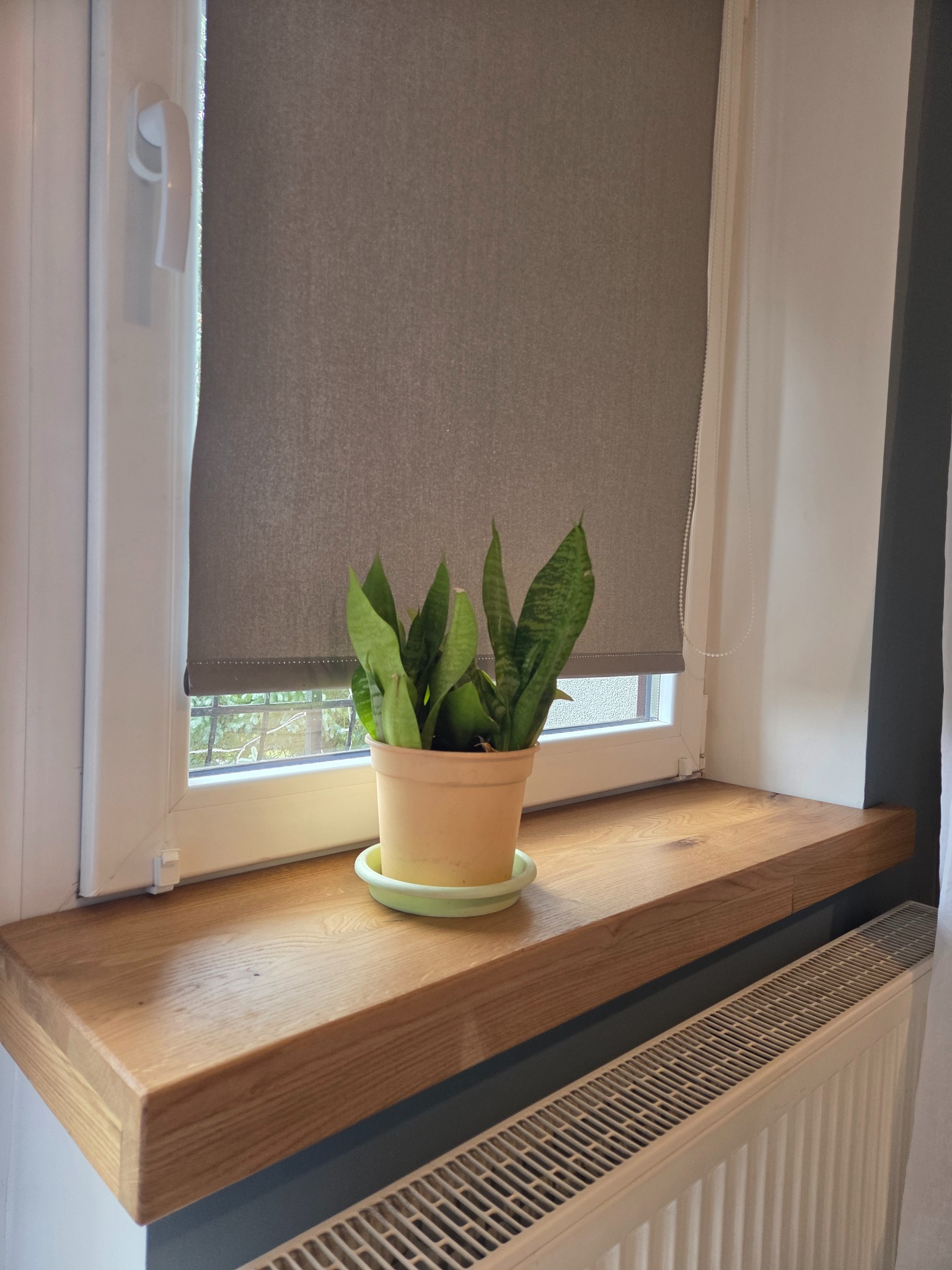 Dębowy parapet z rośliną w doniczce, zamontowany pod oknem z szarą roletą. Widoczny fragment grzejnika. Naturalne światło podkreśla strukturę drewna.
