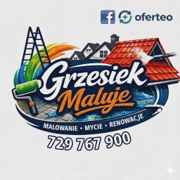 Mycie dach&oacute;w Włocławek - avatar