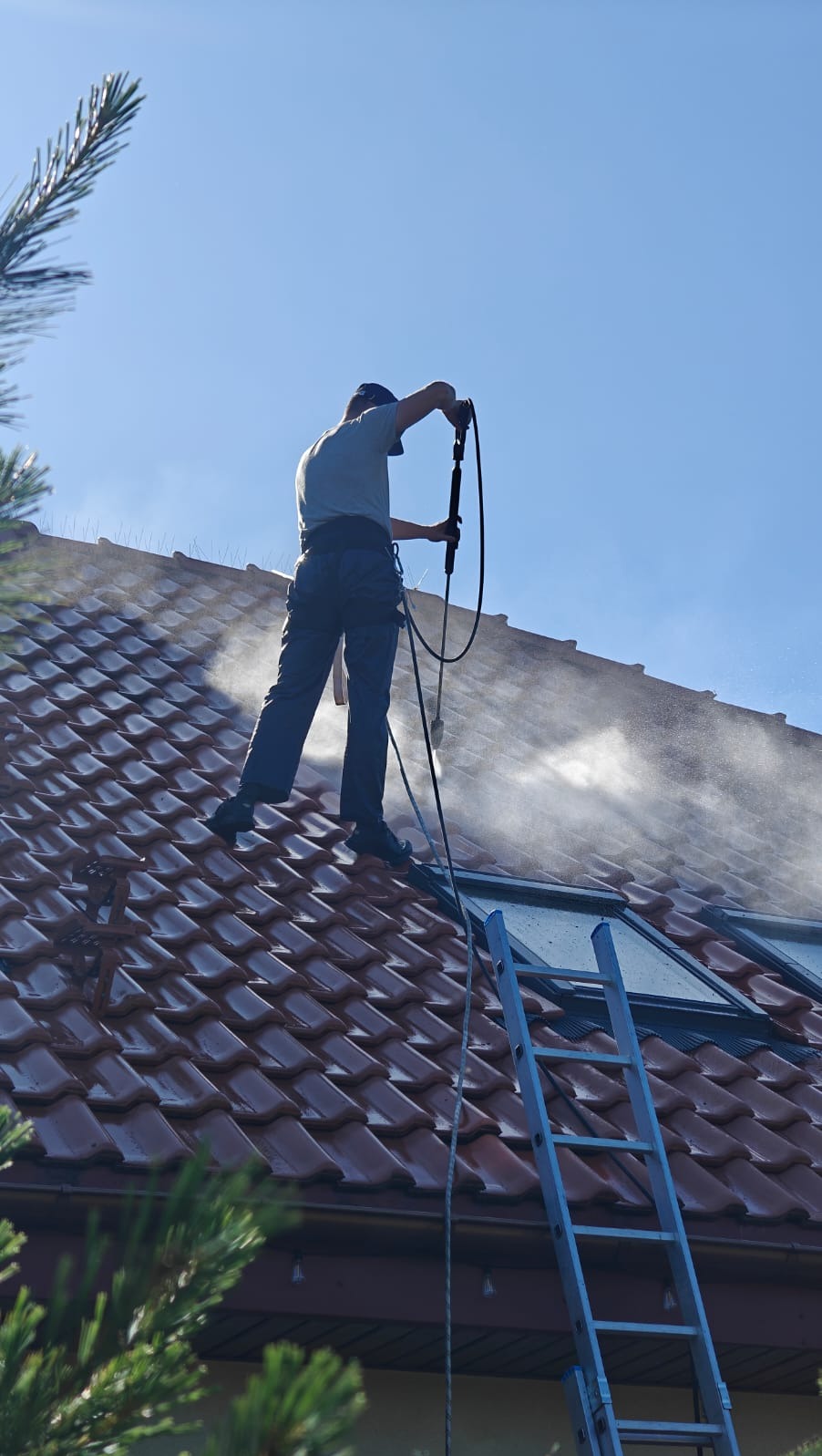 Mężczyzna w uprzęży, z drabiny, myje dach z czerwonej dachówki za pomocą myjki ciśnieniowej. Widoczne okna dachowe i iglaste drzewo w rogu kadru.
