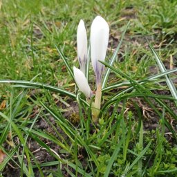 Koszenie trawy Medyka 2