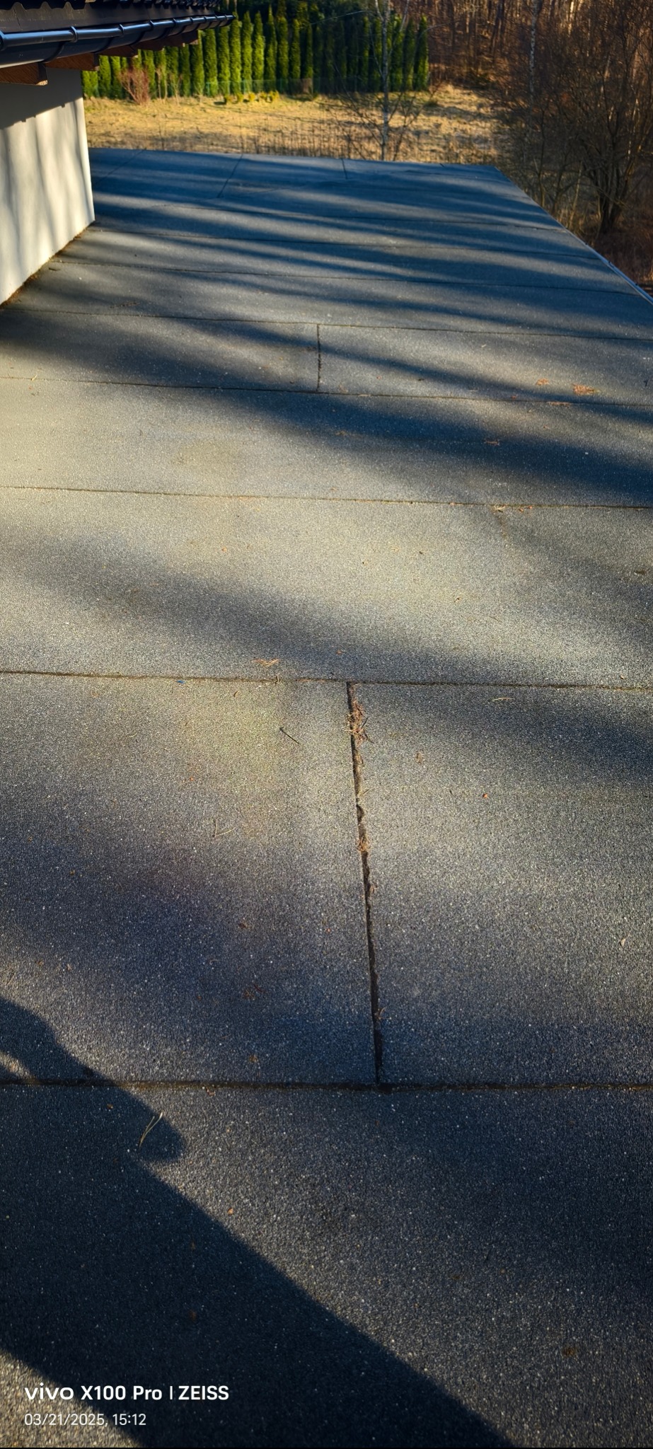 Płaski dach pokryty szarą papą bitumiczną w arkuszach, widoczne połączenia, cień drzewa na powierzchni dachu, w tle rząd tuj i las.