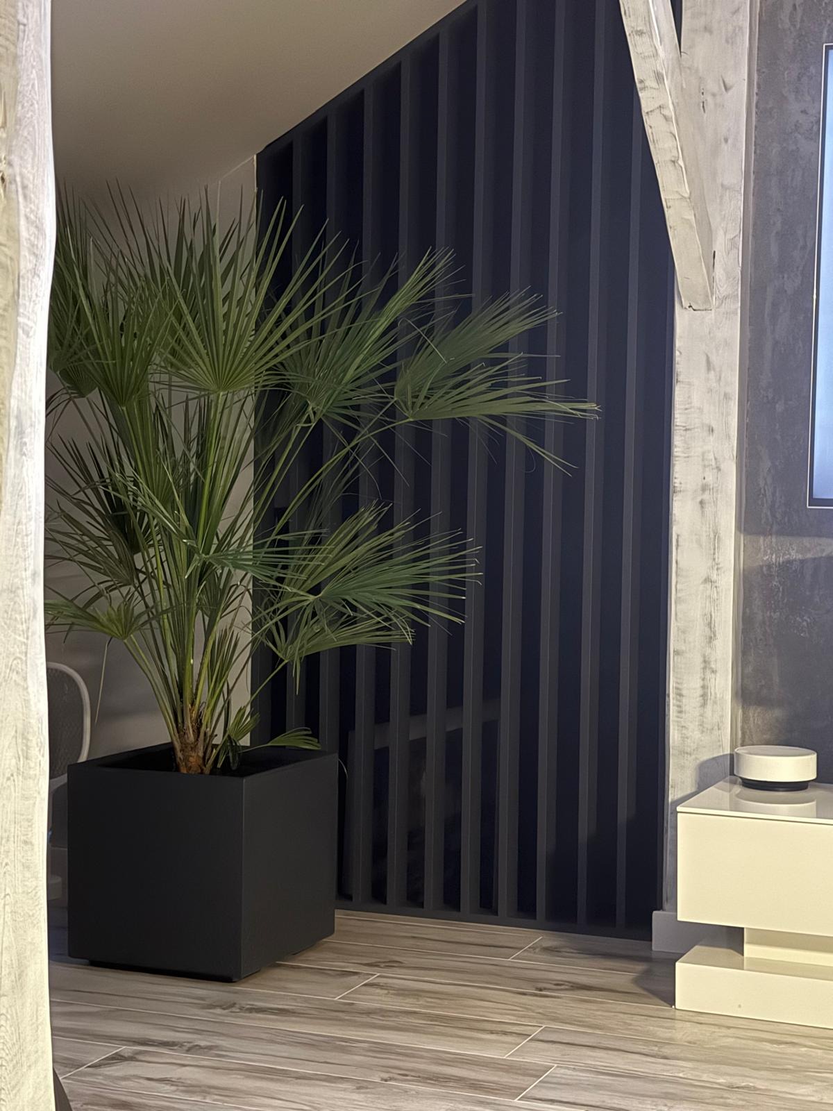 Nowoczesna aranżacja wnętrza z ciemną, pionową zabudową z listew, donicą z palmą i elementami dekoracyjnymi. Minimalistyczny design z akcentem zieleni.