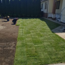 ZIELONA STREFA USŁUGI OGRODNICZE ANDRZEJ CHLEBIUK - Układanie Trawy z rolki.