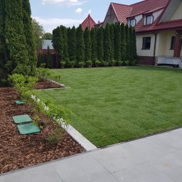 ZIELONA STREFA USŁUGI OGRODNICZE ANDRZEJ CHLEBIUK - Zadbany trawnik z rolki przed domem, obrzeża z kostki, równo przycięte tuje w tle, eleganckie rabaty z korą i niskimi krzewami, błękitne niebo.