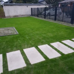 ZIELONA STREFA USŁUGI OGRODNICZE ANDRZEJ CHLEBIUK - Wzrost i pierwsze koszenie.