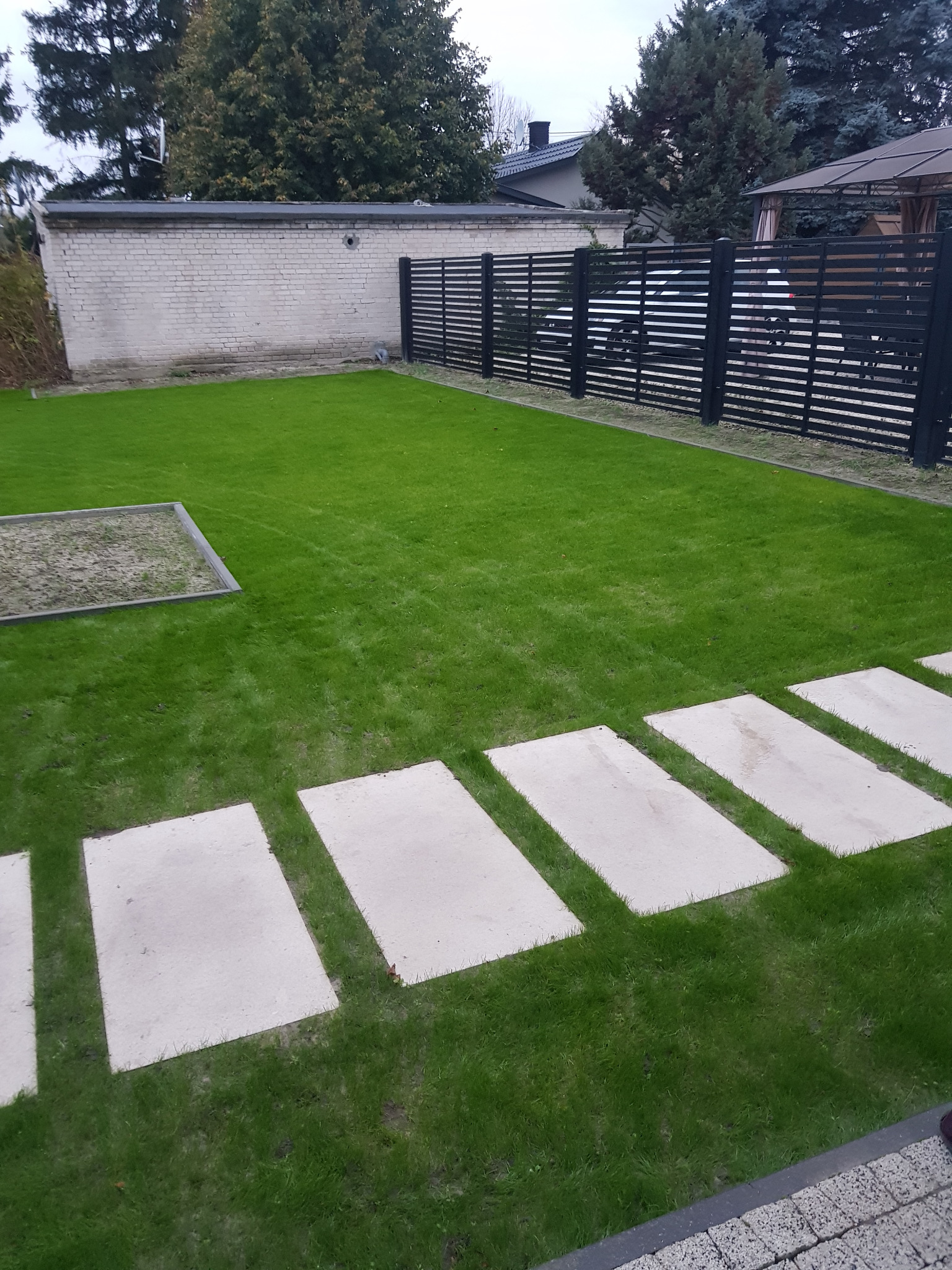 Wzrost i pierwsze koszenie.