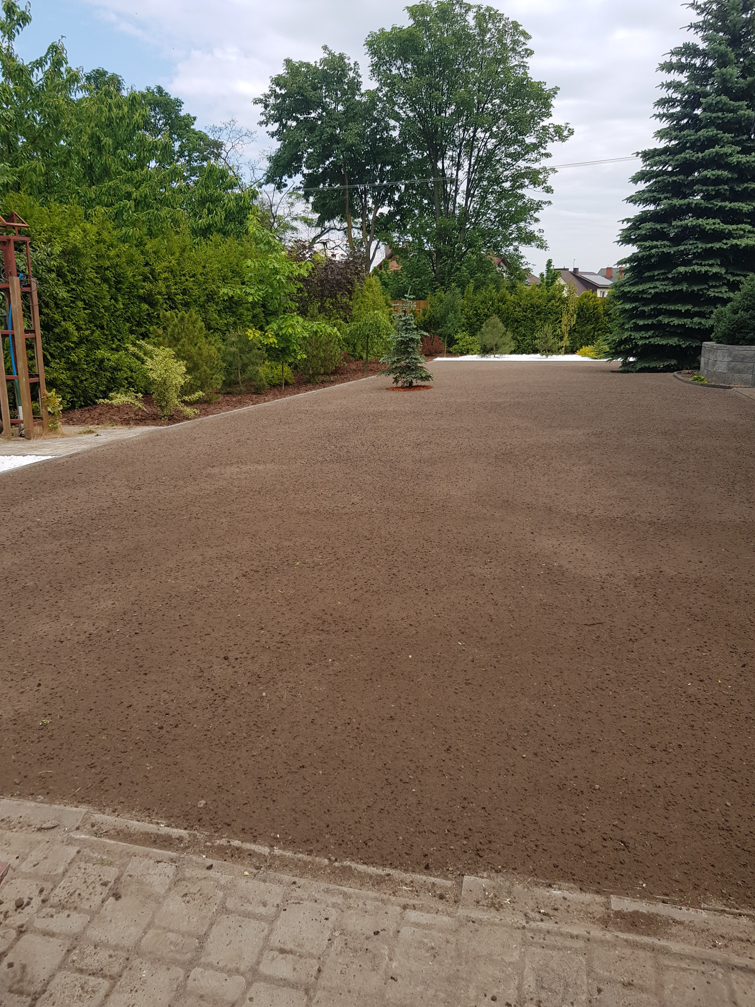 Wyrównany teren pod siew trawy, z widoczną małą choinką pośrodku. Tło stanowią drzewa i krzewy, a w oddali widoczne są domy.