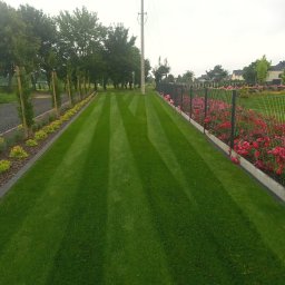 Zakładanie ogrodów Nakło 4