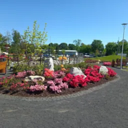 Aranżacja rabaty kwiatowej z azaliami i kamieniami w Nakle, widok na park z ławkami i oświetleniem.