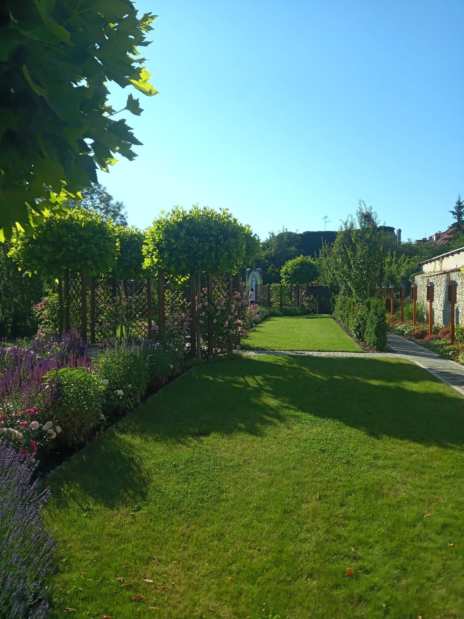 Zadbany trawnik z równo przystrzyżoną trawą, obsadzony rabatami kwiatowymi z lawendą i różami, oddzielony drewnianą kratownicą od ścieżki wyłożonej kostką, z formowanymi drzewami w tle, w słoneczny...
