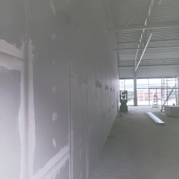 RG24 - Montaż Sufitu Podwieszanego Dzikowiec