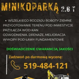 Grafika reklamowa firmy PEMEX oferującej usługi minikoparką 2.6T, w tym roboty ziemne, przygotowanie terenu pod inwestycje, przyłącza wod-kan, odwodnienia, drenaże, melioracje i wykopy pod ławy...