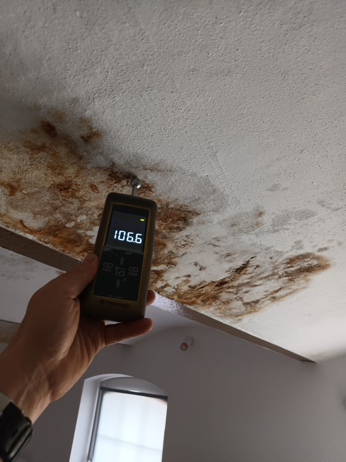 Pomiary wilgotności ścian certyfikowanym miernikiem Trotec T660