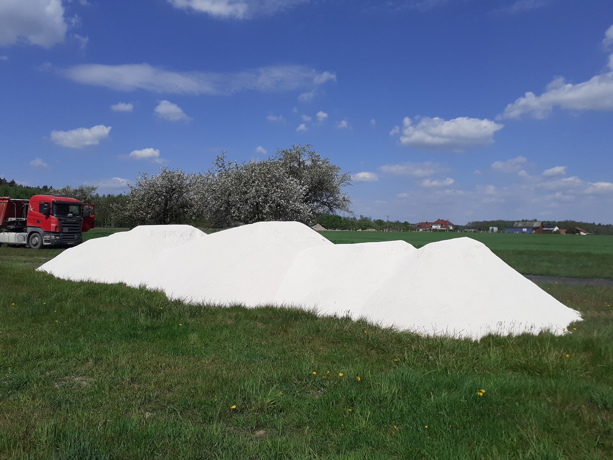 Czerwona ciężarówka Scania zaparkowana obok pryzmy białego materiału na zielonej trawie, widok na kwitnące drzewa i błękitne niebo z chmurami w tle.