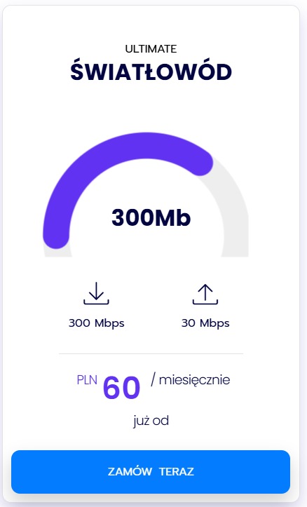 Grafika reklamowa oferty internetu światłowodowego o prędkości 300 Mb/s za 60 zł miesięcznie, z niebieskim półokręgiem symbolizującym prędkość pobierania i wysyłania danych oraz przyciskiem 'Zamów...
