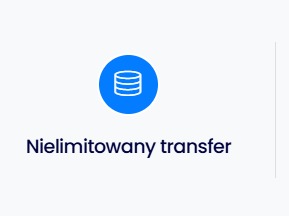 Ikona bazy danych w niebieskim kółku i napis 'Nielimitowany transfer' na jasnym tle.