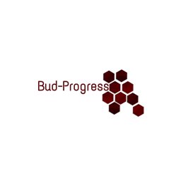 BUD PROGRESS - Roboty Ziemne Katowice