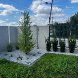 Nowoczesny ogród z betonowym ogrodzeniem, białymi kamieniami, młodymi drzewami i krzewami iglastymi, otoczony zielonym trawnikiem pod błękitnym niebem.