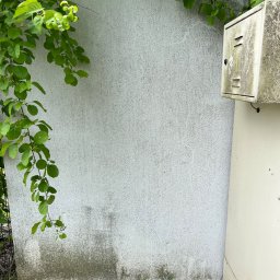 HOGAASTAR SPÓŁKA Z OGRANICZONĄ ODPOWIEDZIALNOŚCIĄ - Biała, chropowata elewacja z widocznymi śladami wilgoci i zabrudzeń u dołu, częściowo zasłonięta przez zwisające gałęzie z zielonymi liśćmi oraz starą, zabrudzoną skrzynkę elektryczną.