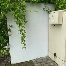 HOGAASTAR SPÓŁKA Z OGRANICZONĄ ODPOWIEDZIALNOŚCIĄ - Biała ściana z fakturą, porośnięta zielonym bluszczem, obok beżowa skrzynka elektryczna z widocznymi kablami wychodzącymi u dołu, kostka brukowa i trawa u podstawy.