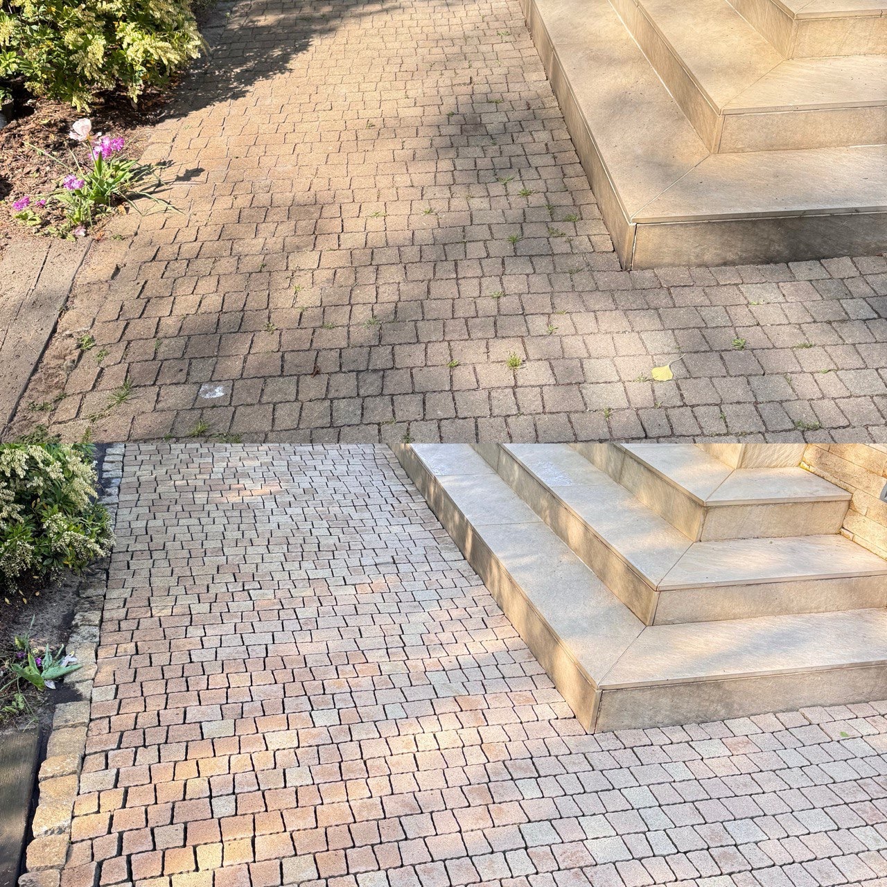 Ułożona kostka brukowa w odcieniach beżu i brązu tworzy ścieżkę i schody. Widoczne rośliny i cień drzewa. Kąt ujęcia z góry podkreśla wzór kostki.