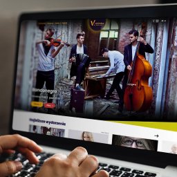 Tworzenie stron internetowych Toruń 3