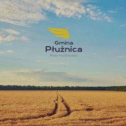 ALFABET MARKI SPÓŁKA Z OGRANICZONĄ ODPOWIEDZIALNOŚCIĄ - Logo Gminy Płużnica umieszczone nad polem zboża z widoczną ścieżką i lasem w tle, błękitne niebo z chmurami.